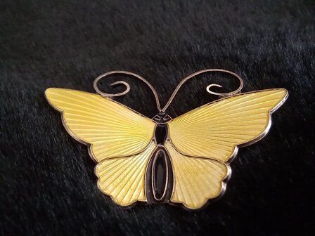 David Andersen vlinder broche