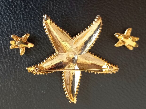 Starfish jewellery