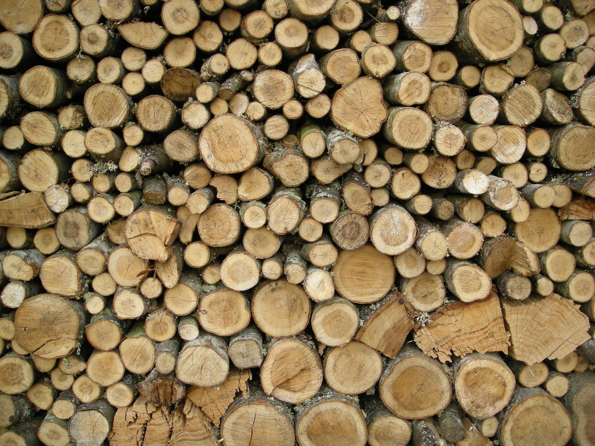 Hout